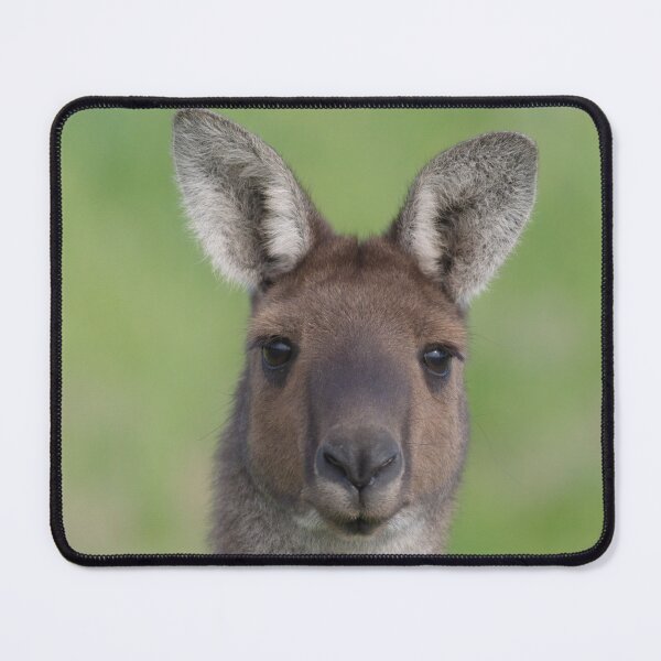 Item preview, Australian kangaroo extreme close face photo designed and sold by hendrikspix.