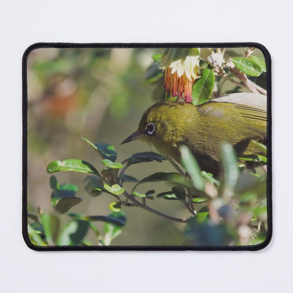 Item preview, Native West Australian bird called the Silvereye closeup designed and sold by hendrikspix.