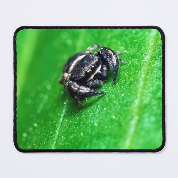 Artikelvorschau, Winzige Wespen imitieren Spinne auf einem grünen Blatt entworfen und verkauft von hendrikspix.