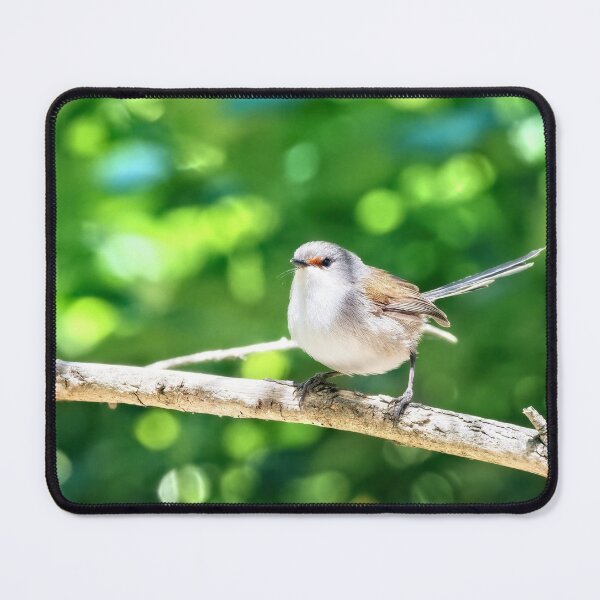 Item preview, Beautiful Female Red-winged fairywren with bokeh background designed and sold by hendrikspix.