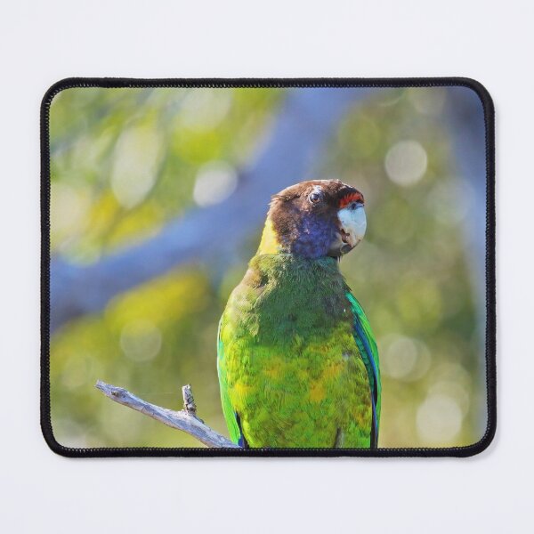 Item preview, Colourful Twenty Eight Parrot on his perch  designed and sold by hendrikspix.