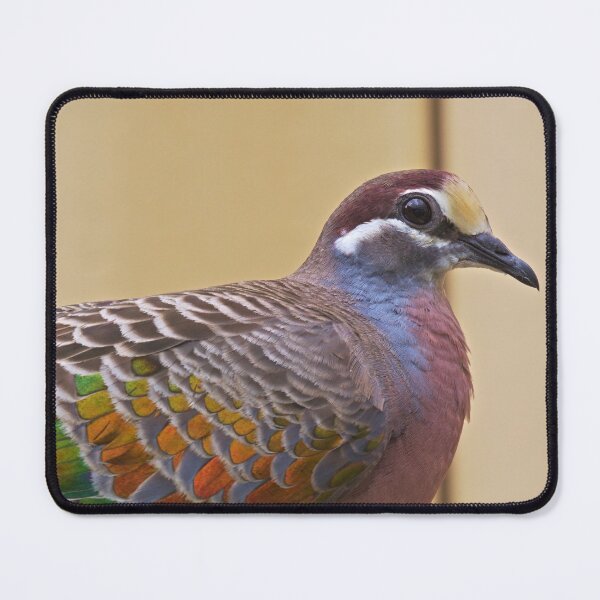 Item preview, Male bronzewing closeup photo designed and sold by hendrikspix.