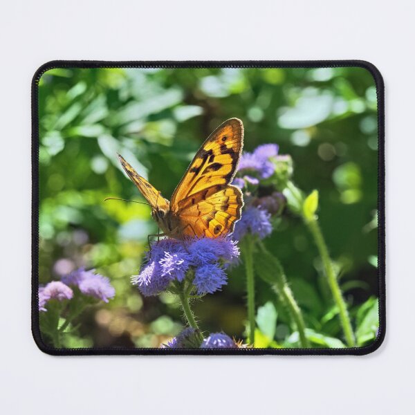 Item preview, Common brown butterfly on purple flower macro photo designed and sold by hendrikspix.