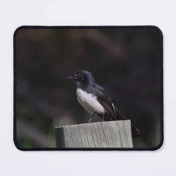 Item preview, Curious Willie Wagtail on a fence pole designed and sold by hendrikspix.