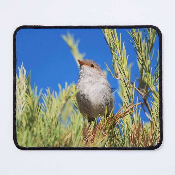 Item preview, Female splendid fairywren on the lookout designed and sold by hendrikspix.