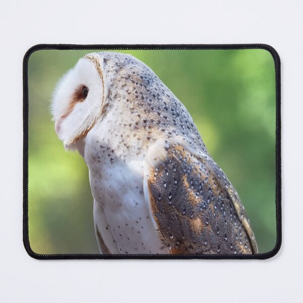 Item preview, Barn owl portrait closeup photo designed and sold by hendrikspix.