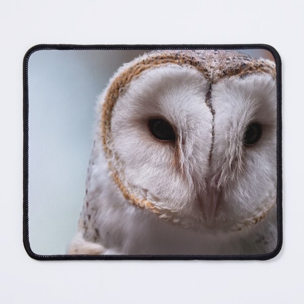 Item preview, Barn owl portrait closeup photo designed and sold by hendrikspix.