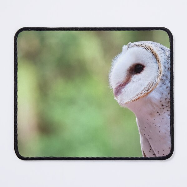 Item preview, Barn owl portrait closeup photo designed and sold by hendrikspix.