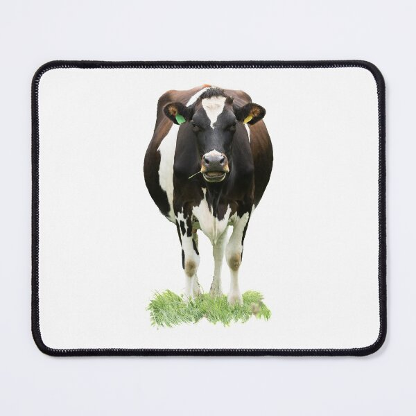 Item preview, Black and White Standing Cow designed and sold by Jane Stanley Photography.