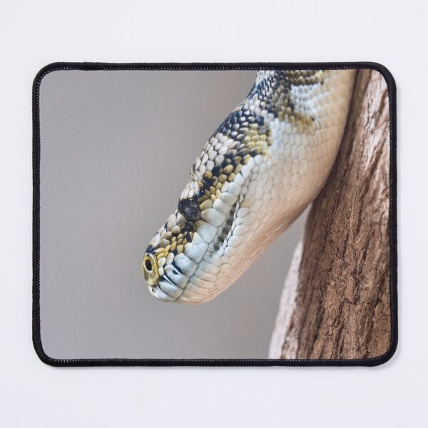 Item preview, Carpet python  designed and sold by hendrikspix.