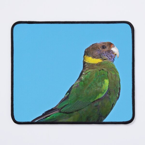 Item preview, Proud Twenty Eight Parrot posing for camera designed and sold by hendrikspix.