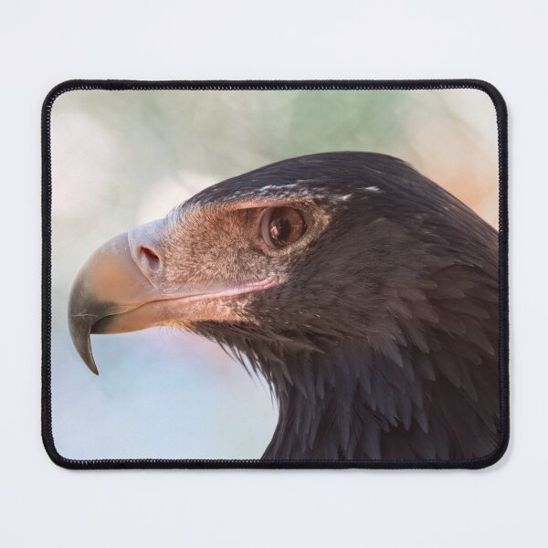 Item preview, Wedge-tailed eagle portrait photo designed and sold by hendrikspix.