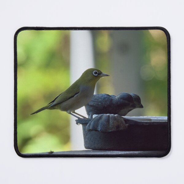Item preview, Australian Silvereye bird feeding photo designed and sold by hendrikspix.
