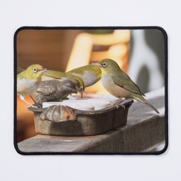 Item preview, Australian Silvereye birds feeding photo designed and sold by hendrikspix.