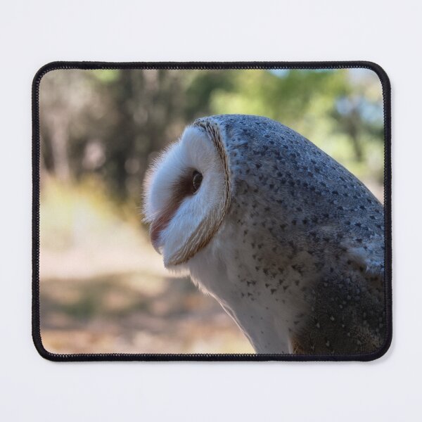 Item preview, Barn owl portrait closeup photo designed and sold by hendrikspix.