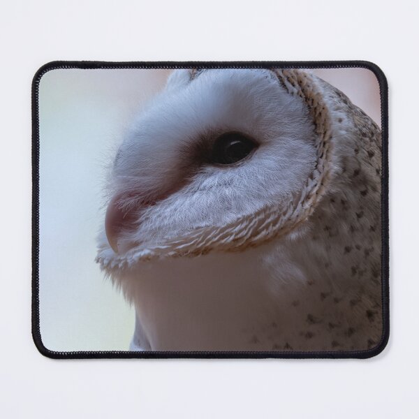 Item preview, Barn owl portrait closeup photo designed and sold by hendrikspix.