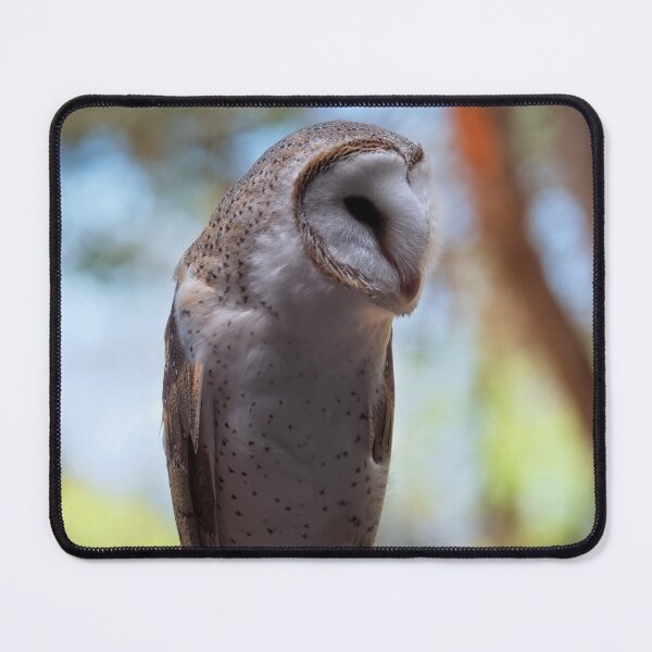 Item preview, Barn owl portrait closeup photo designed and sold by hendrikspix.