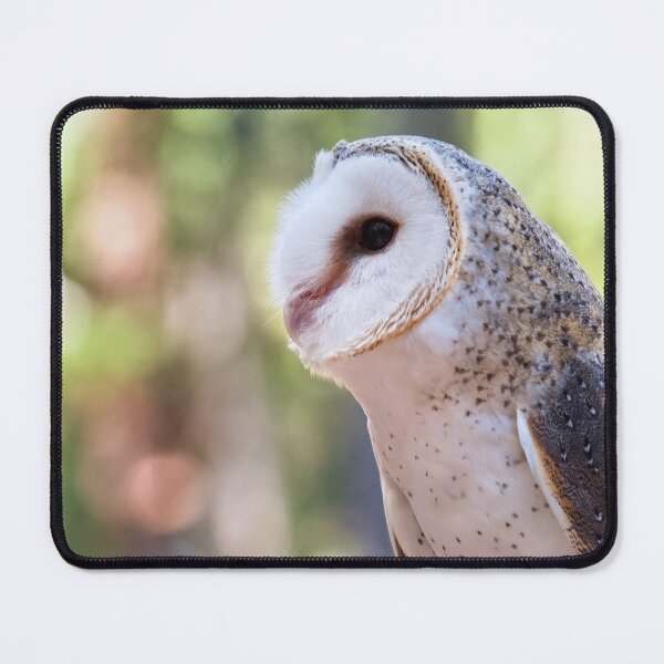 Item preview, Barn owl portrait closeup photo designed and sold by hendrikspix.