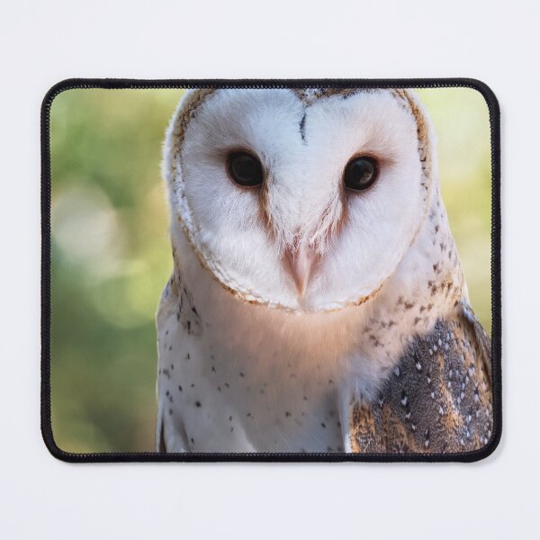 Item preview, Barn owl portrait closeup photo designed and sold by hendrikspix.