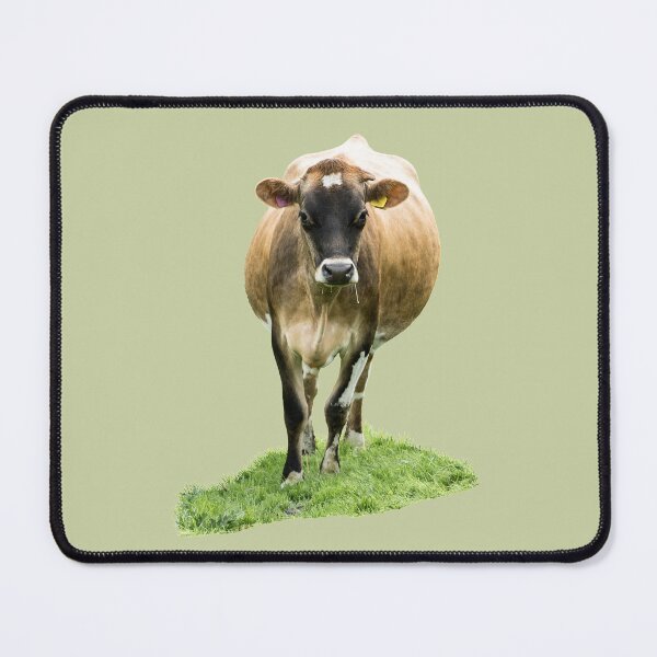 Item preview, Standing Jersey Cow designed and sold by Jane Stanley Photography.