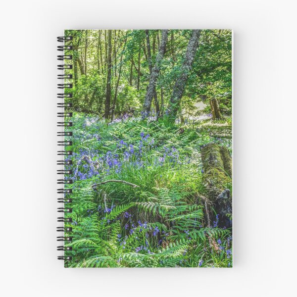 Artikelvorschau, Glockenblumen im Taychreggan Forest, Schottland entworfen und verkauft von Beth A. Richardson.