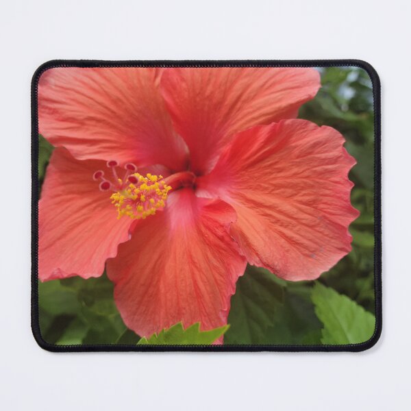Item preview, Hibiscus designed and sold by Jessica Tipton.
