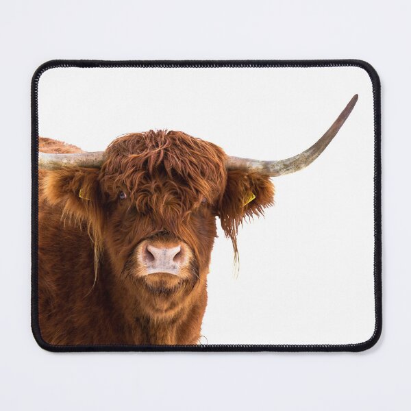 Item preview, Highland Cow Placement Print designed and sold by Jane Stanley Photography.