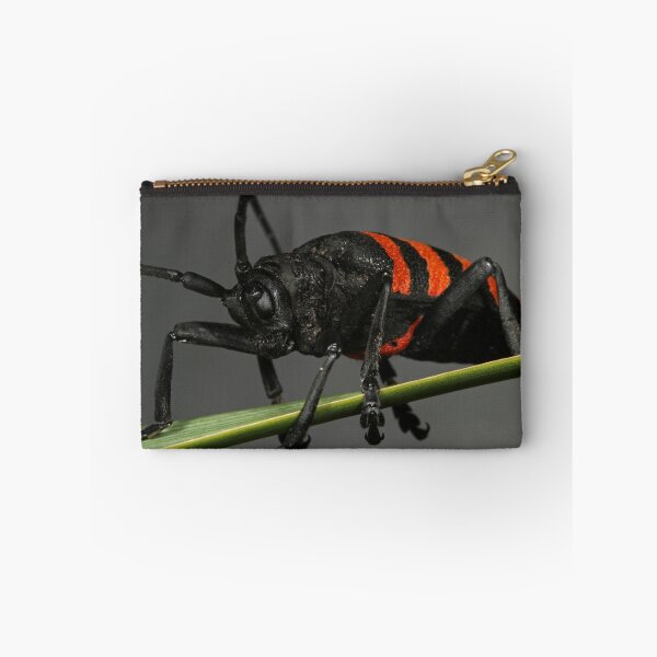 Item preview, Pondo Pondo Longhorn Beetle designed and sold by Etwin.