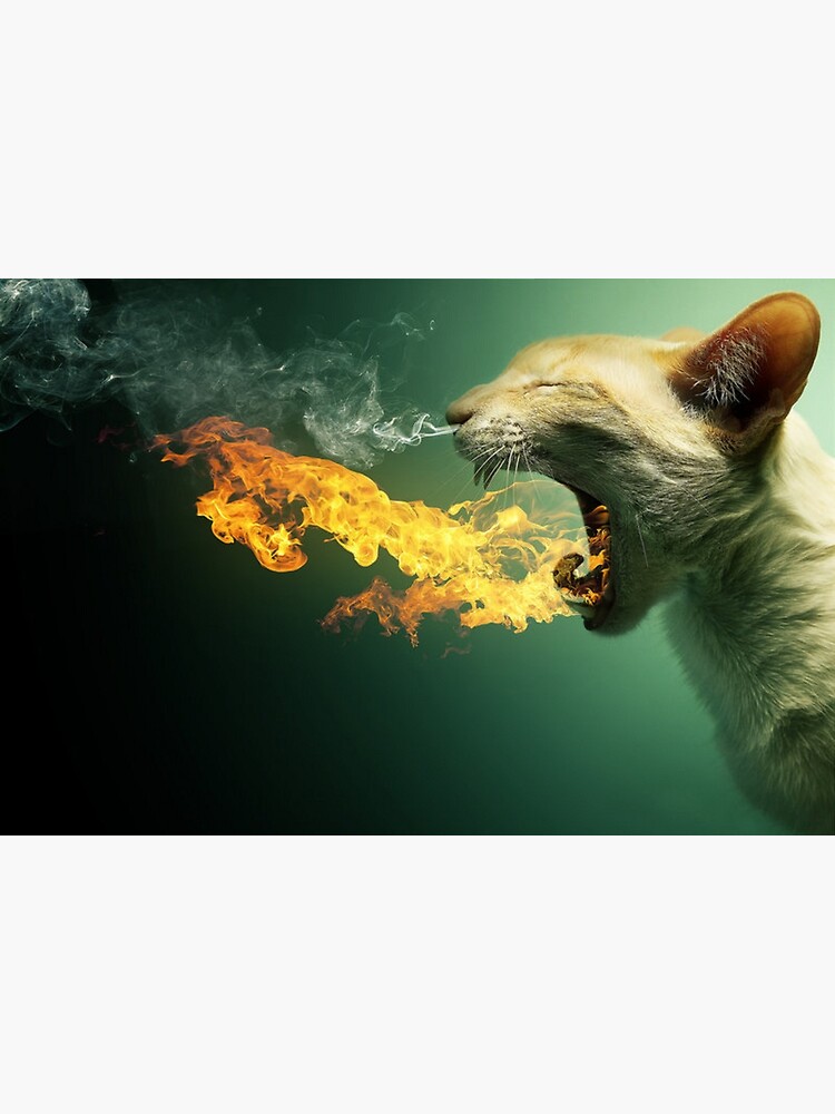 "Deviant Art" Poster by Vector11 Redbubble