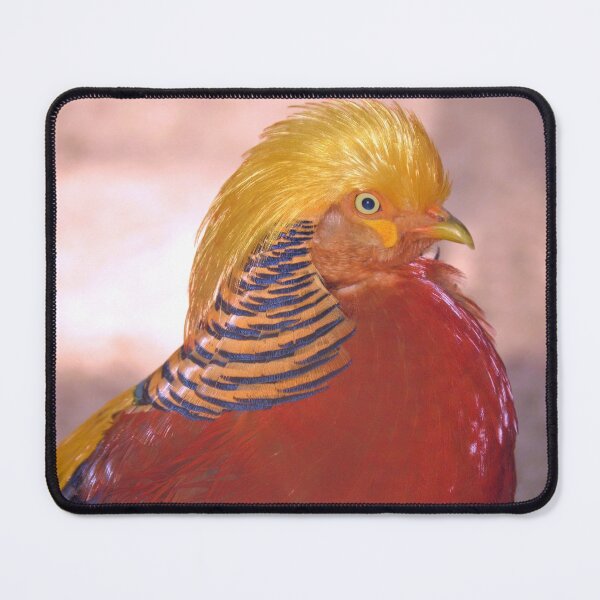 Item preview, Golden Pheasant designed and sold by What I See by Dawne.