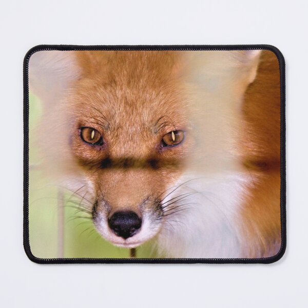 Item preview, The Fox That Was Caught In The Hen House designed and sold by What I See by Dawne.