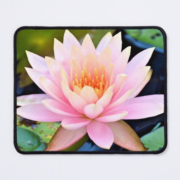 Item preview, Pink Fabiola designed and sold by What I See by Dawne.
