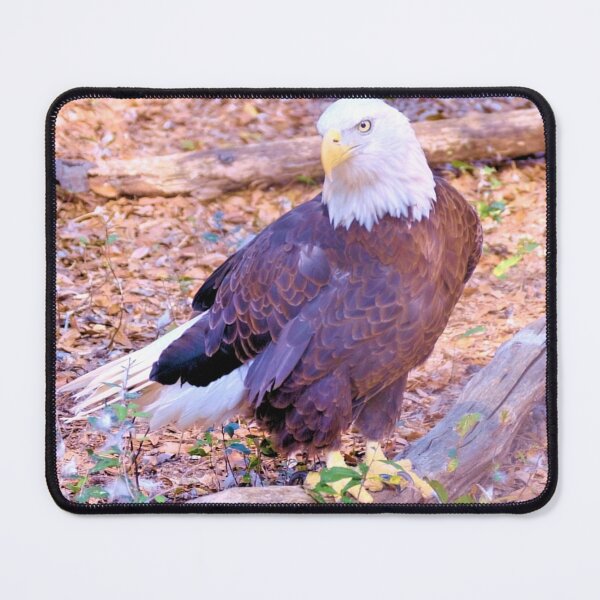 Item preview, The American Bald Eagle designed and sold by What I See by Dawne.