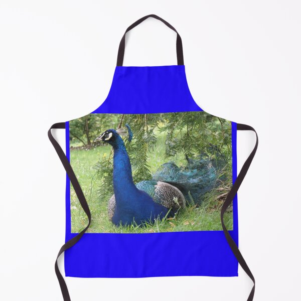 Item preview, Peacock Sitting Pretty Photograph designed and sold by naturegallery.