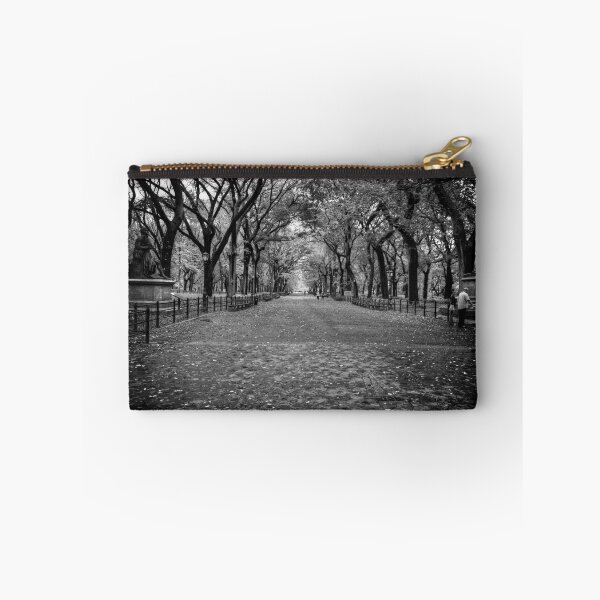 Item preview, Walking in Central Park  designed and sold by Andrea Rapisarda.