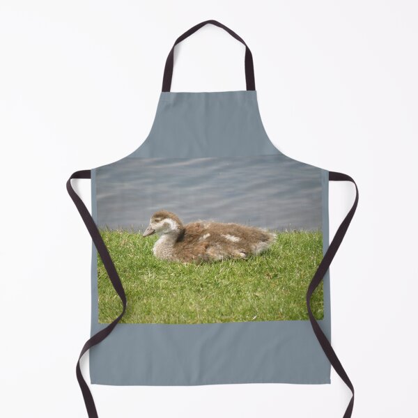 Item preview, Cute Egyptian Goose Gosling Photograph designed and sold by naturegallery.