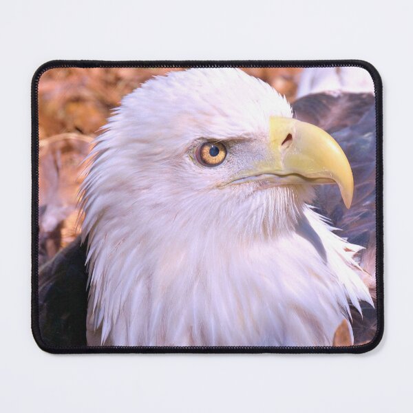 Item preview, Resting Eagle 2 designed and sold by What I See by Dawne.