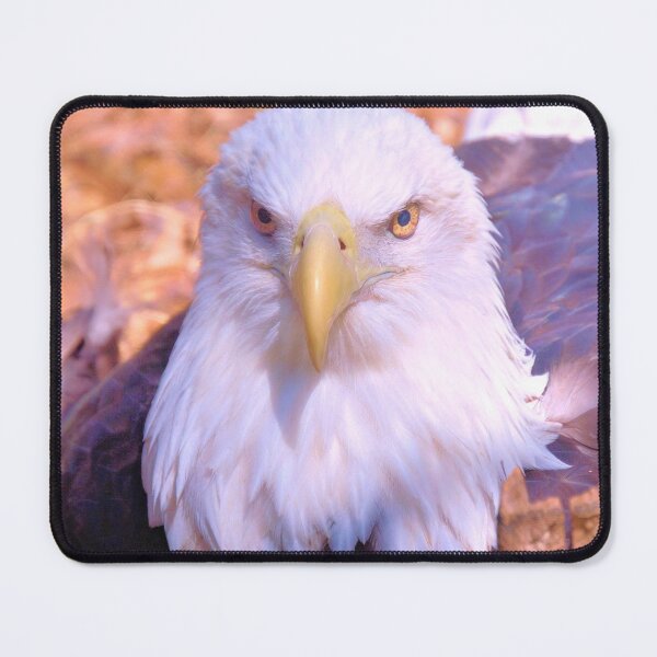 Item preview, Resting Eagle 3 designed and sold by What I See by Dawne.