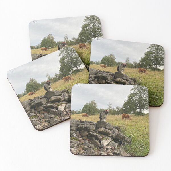Item preview, Scottish Highland Cattle Calves and Cat 2941 designed and sold by SaarelaHighland.