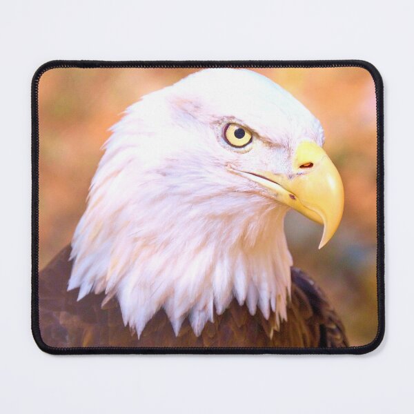 Item preview, Pride Of America designed and sold by What I See by Dawne.