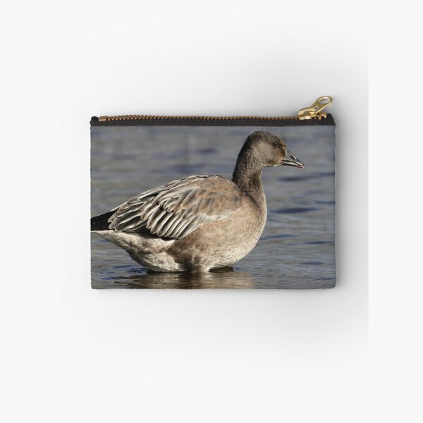 Item preview, Another Blue Goose / Snow Goose designed and sold by Gary Fairhead.