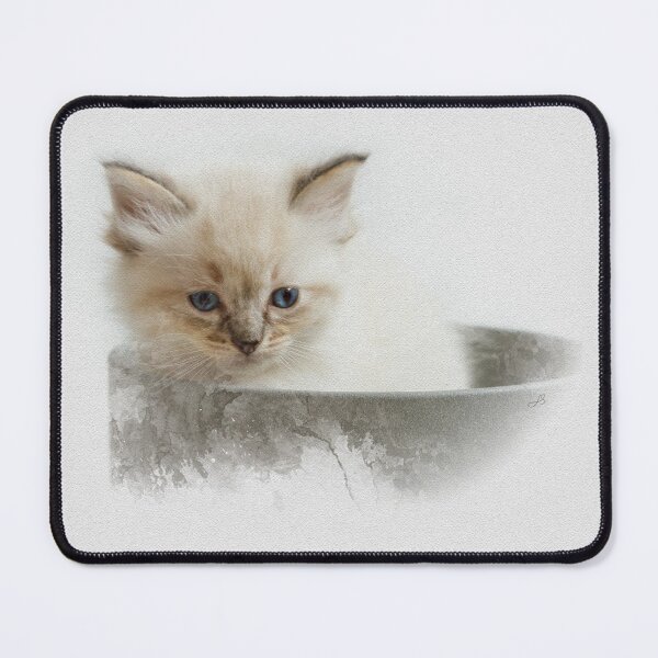 Item preview, Ragdoll Kitten Watercolour Photograph, Cat designed and sold by Jane Stanley Photography.
