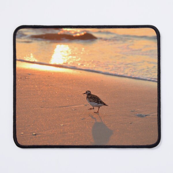 Item preview, Morning Ruddy Turnstone designed and sold by What I See by Dawne.
