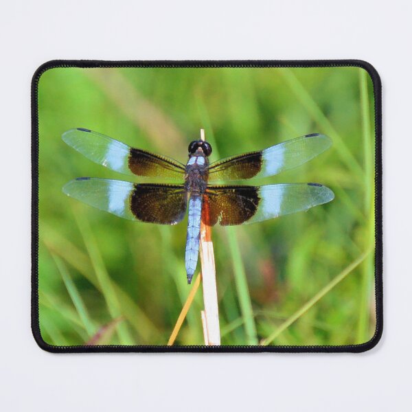 Item preview, Dragonfly 5 designed and sold by What I See by Dawne.