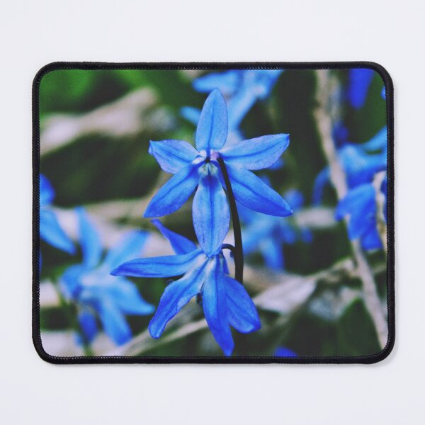 Item preview, Spring habits designed and sold by lukreciaphoto.