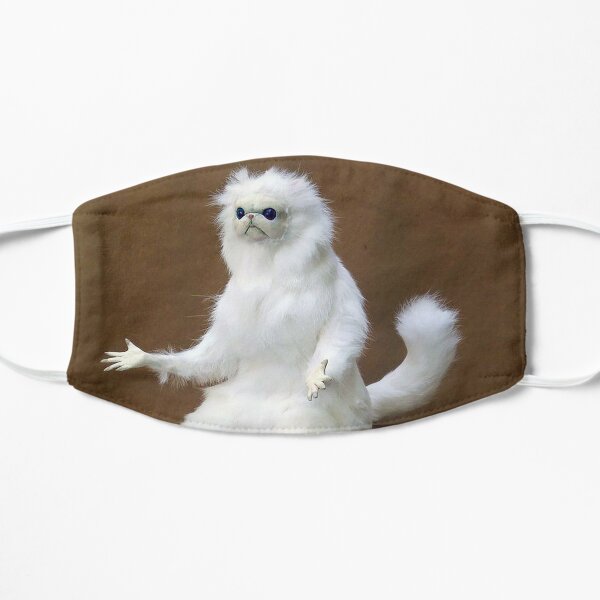 Persian cat outlet accessories