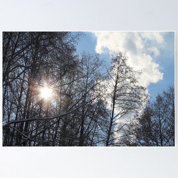 Item preview, forest in winter  designed and sold by Goychak.