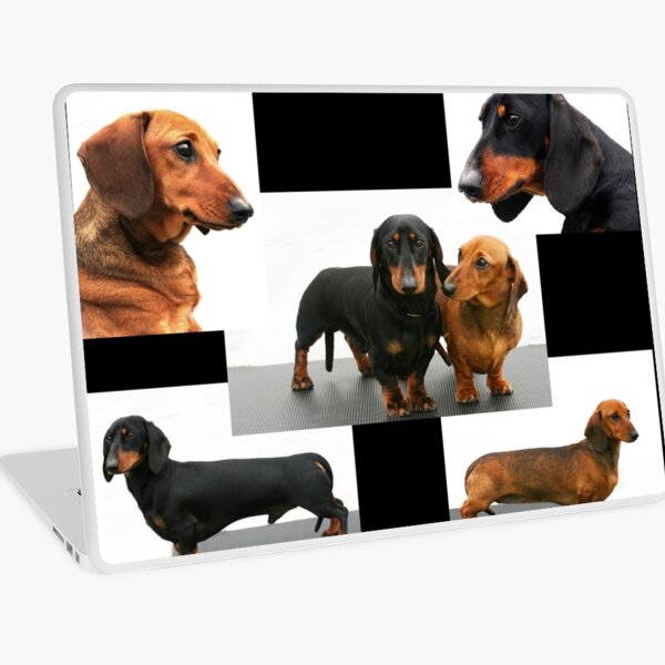 Dachshund Collage Laptop Skin