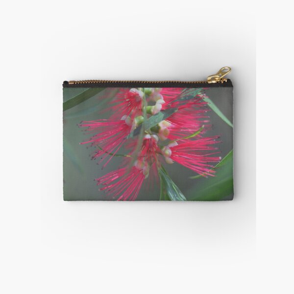 Item preview, Callistemon viminalis designed and sold by andrachne.
