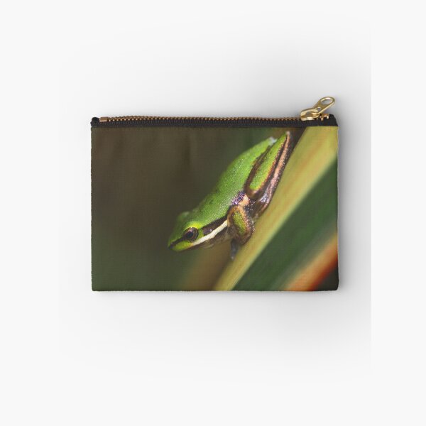 Item preview, Litoria fallax designed and sold by andrachne.